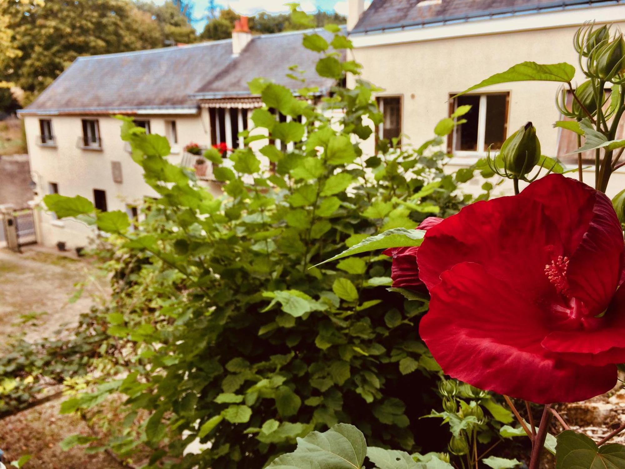 Le Clos Rabelais ランジェ エクステリア 写真